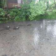 ヒメ日記 2025/09/14 11:49 投稿 ありさ 素人妻御奉仕倶楽部Hip's松戸店