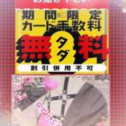 ヒメ日記 2025/09/22 14:39 投稿 ありさ 素人妻御奉仕倶楽部Hip's松戸店