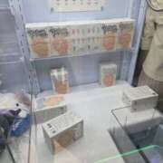 ヒメ日記 2025/10/12 12:10 投稿 ありさ 素人妻御奉仕倶楽部Hip's松戸店