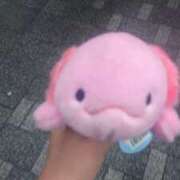 ヒメ日記 2025/10/16 10:39 投稿 ありさ 素人妻御奉仕倶楽部Hip's松戸店