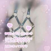 ヒメ日記 2026/02/27 12:19 投稿 ありさ 素人妻御奉仕倶楽部Hip's松戸店