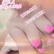 ヒメ日記 2026/04/13 14:49 投稿 ありさ 素人妻御奉仕倶楽部Hip's松戸店