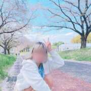 ヒメ日記 2025/04/17 06:40 投稿 みゆ 素人系イメージSOAP彼女感大宮館