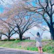 ヒメ日記 2025/04/18 06:49 投稿 みゆ 素人系イメージSOAP彼女感大宮館