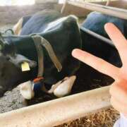 ヒメ日記 2025/04/29 13:17 投稿 みゆ 素人系イメージSOAP彼女感大宮館