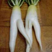 ヒメ日記 2025/04/30 22:37 投稿 みゆ 素人系イメージSOAP彼女感大宮館