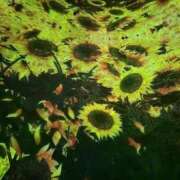 ヒメ日記 2025/10/08 17:21 投稿 ひめ ちらりずむ 札幌校