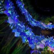 ヒメ日記 2025/10/21 22:51 投稿 ひめ ちらりずむ 札幌校