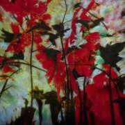 ヒメ日記 2025/10/27 23:41 投稿 ひめ ちらりずむ 札幌校