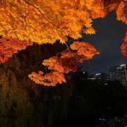 ヒメ日記 2025/11/06 00:51 投稿 ひめ ちらりずむ 札幌校