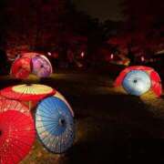 ヒメ日記 2025/11/06 09:03 投稿 ひめ ちらりずむ 札幌校