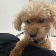 ヒメ日記 2025/06/06 06:40 投稿 うな 手こき＆オナクラ 大阪はまちゃん