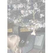 ヒメ日記 2025/06/12 20:34 投稿 うな 手こき＆オナクラ 大阪はまちゃん