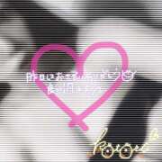 ヒメ日記 2025/01/11 17:44 投稿 ことり 川越ぽちゃまに