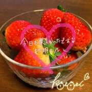 ヒメ日記 2025/01/16 00:12 投稿 ことり 川越ぽちゃまに