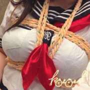 ヒメ日記 2025/01/29 18:22 投稿 ことり 川越ぽちゃまに