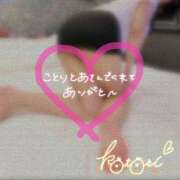 ヒメ日記 2025/02/01 01:32 投稿 ことり 川越ぽちゃまに