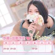 ヒメ日記 2025/02/09 18:59 投稿 ことり 川越ぽちゃまに