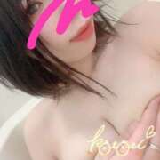 ヒメ日記 2025/02/11 15:12 投稿 ことり 川越ぽちゃまに