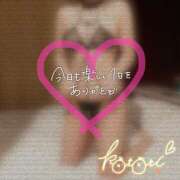 ヒメ日記 2025/02/19 01:32 投稿 ことり 川越ぽちゃまに