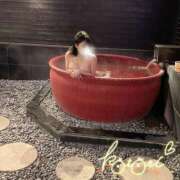 ヒメ日記 2025/02/22 10:32 投稿 ことり 川越ぽちゃまに