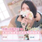 ヒメ日記 2025/02/23 14:42 投稿 ことり 川越ぽちゃまに