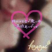 ヒメ日記 2025/03/09 14:32 投稿 ことり 川越ぽちゃまに