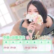 ヒメ日記 2025/03/09 19:42 投稿 ことり 川越ぽちゃまに