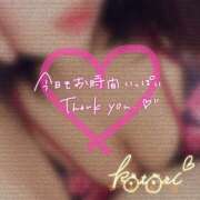 ヒメ日記 2025/03/14 01:12 投稿 ことり 川越ぽちゃまに