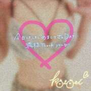 ヒメ日記 2025/03/21 01:32 投稿 ことり 川越ぽちゃまに