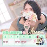 ヒメ日記 2025/03/23 20:32 投稿 ことり 川越ぽちゃまに