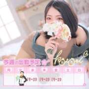 ヒメ日記 2025/03/30 21:02 投稿 ことり 川越ぽちゃまに