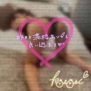 ヒメ日記 2025/04/05 09:32 投稿 ことり 川越ぽちゃまに