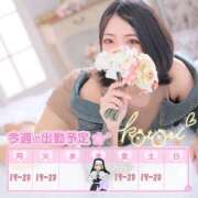 ヒメ日記 2025/04/06 14:32 投稿 ことり 川越ぽちゃまに