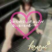 ヒメ日記 2025/04/08 01:52 投稿 ことり 川越ぽちゃまに