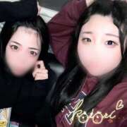 ヒメ日記 2025/04/13 12:04 投稿 ことり 川越ぽちゃまに