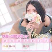 ヒメ日記 2025/04/13 22:42 投稿 ことり 川越ぽちゃまに