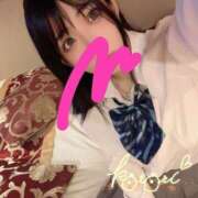 ヒメ日記 2025/04/14 13:52 投稿 ことり 川越ぽちゃまに