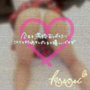 ヒメ日記 2025/04/26 02:32 投稿 ことり 川越ぽちゃまに