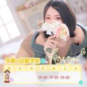 ヒメ日記 2025/04/28 00:12 投稿 ことり 川越ぽちゃまに