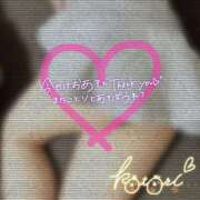 ヒメ日記 2025/05/02 01:42 投稿 ことり 川越ぽちゃまに