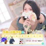 ヒメ日記 2025/05/04 23:52 投稿 ことり 川越ぽちゃまに