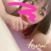 ヒメ日記 2025/05/09 16:42 投稿 ことり 川越ぽちゃまに