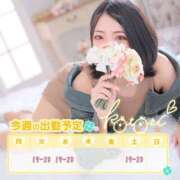 ヒメ日記 2025/05/12 01:32 投稿 ことり 川越ぽちゃまに