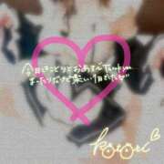 ヒメ日記 2025/05/15 00:53 投稿 ことり 川越ぽちゃまに