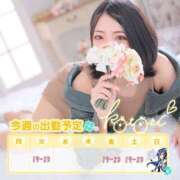 ヒメ日記 2025/05/19 23:32 投稿 ことり 川越ぽちゃまに