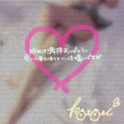 ヒメ日記 2025/05/26 02:32 投稿 ことり 川越ぽちゃまに