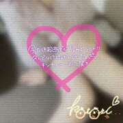 ヒメ日記 2025/05/30 04:02 投稿 ことり 川越ぽちゃまに