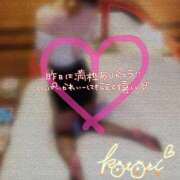 ヒメ日記 2025/05/31 14:32 投稿 ことり 川越ぽちゃまに