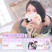 ヒメ日記 2025/06/02 00:22 投稿 ことり 川越ぽちゃまに